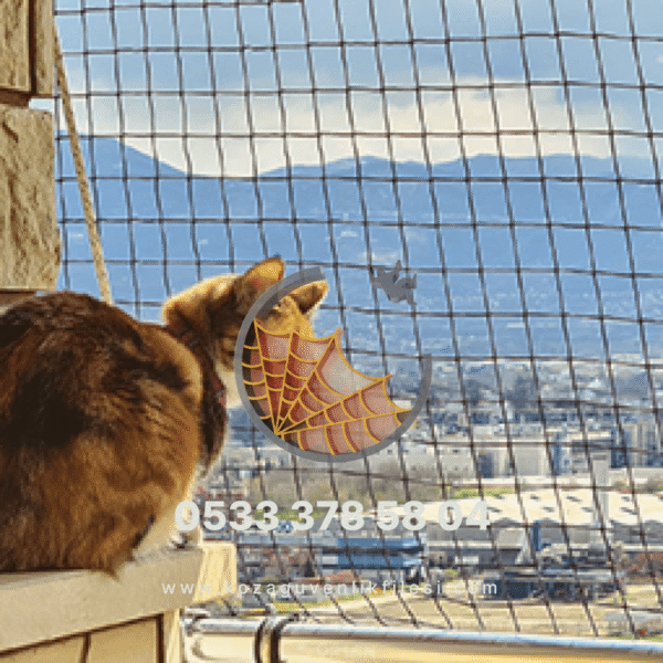 4x4 kedi koruma filesi 5