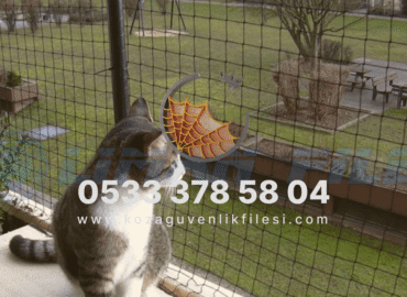 kedi koruma filesi (1)
